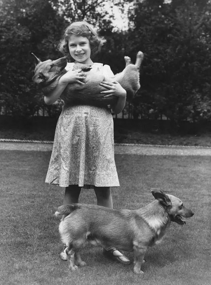 5. Posing with her dogs at her home in Piccadilly, London