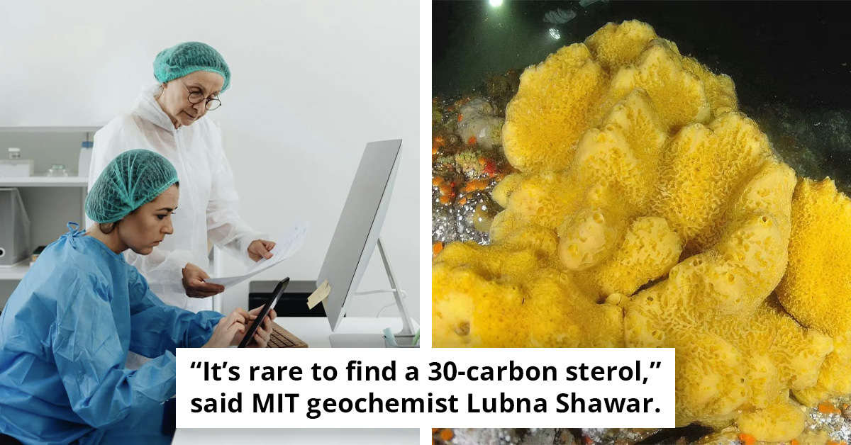 Scientists May Have Finally Found What the First Animal on Earth Looked Like, and It’s Not What You’d Expect