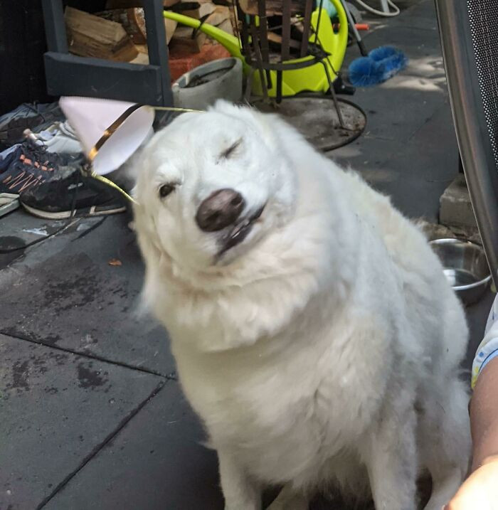 "Mid Shake Photo"