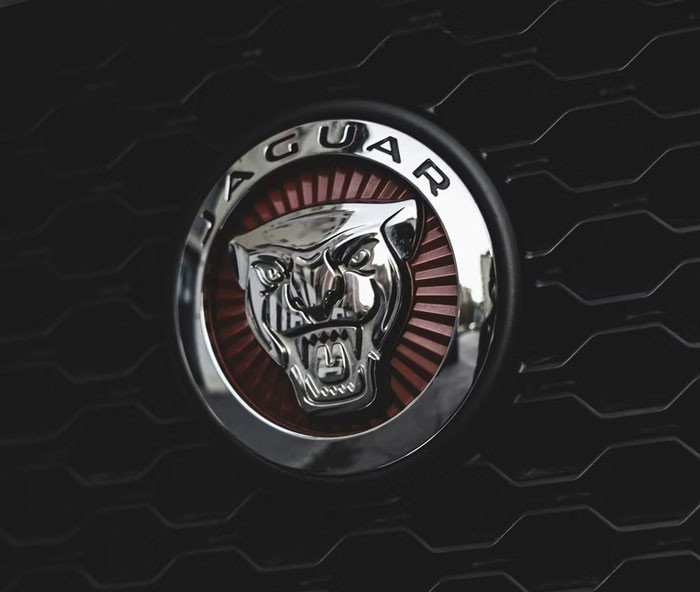 2. Jaguars in one transaction