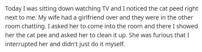 One day, when OP noticed cat pee next to them while watching TV, he asked his wife to clean it, even though she had a friend visiting.