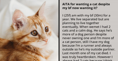 Redditor's BF Is Angry With Her For Wanting To Adopt A Second Cat While Not Letting Him Get A Dog