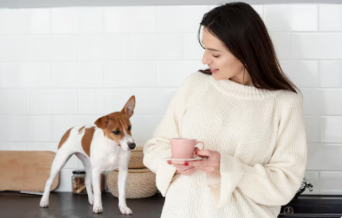 "The Morning I Mistook the Dog for My Baby"
