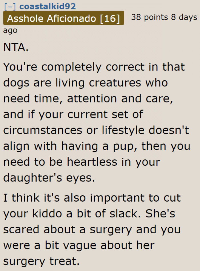 If the OP was clear about the surgery treat, maybe the daughter wouldn't think about having a dog.