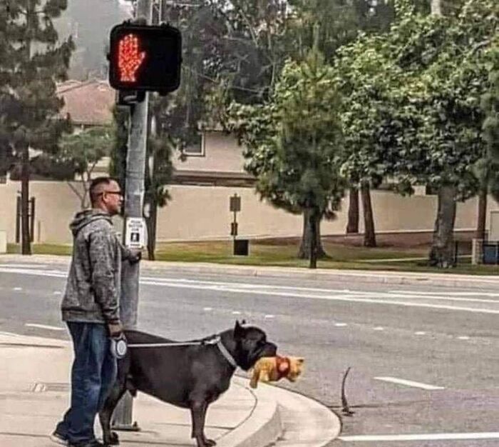 37. It doesn't matter how strong and confident you may appear on the outside. Some days, you just need your Pooh Bear.