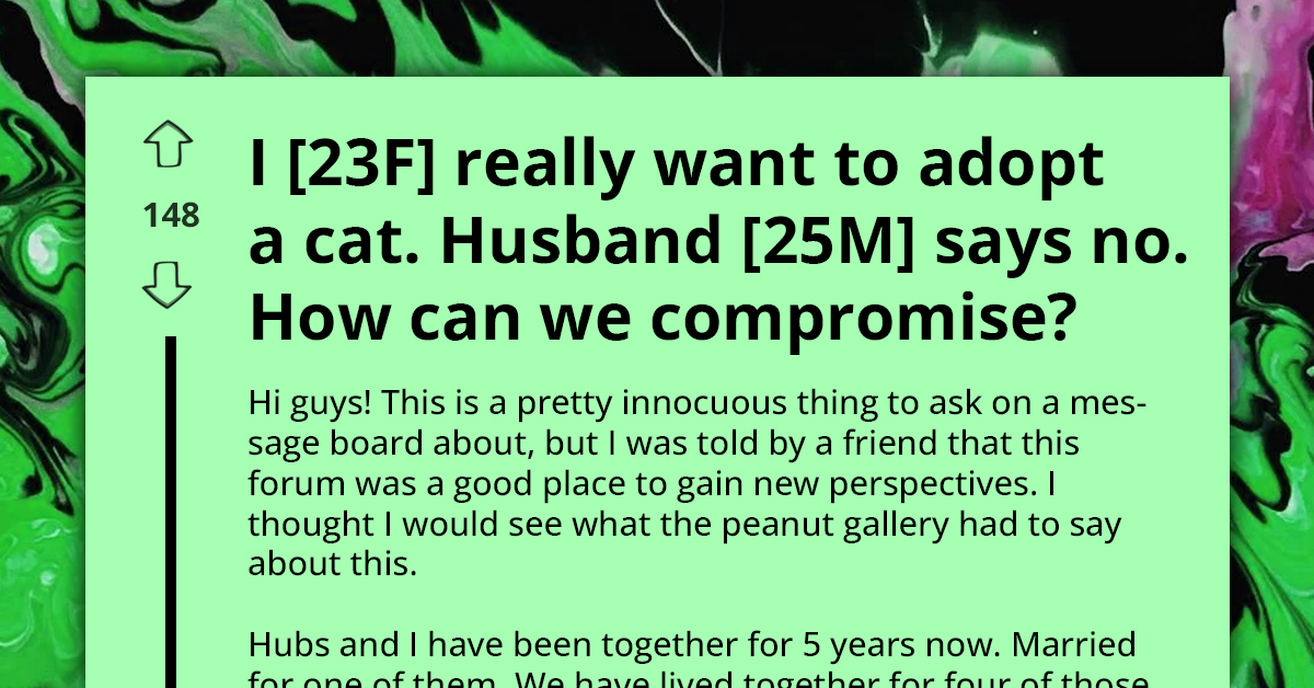 Female Redditor Wants to Find Compromise with Her Husband About Adopting a Cat