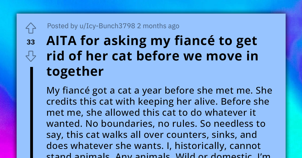 Redditor Gives An Ultimatum To His Fiancé, Get Rid Of Her Beloved Cat Or They Won't Start Living Together
