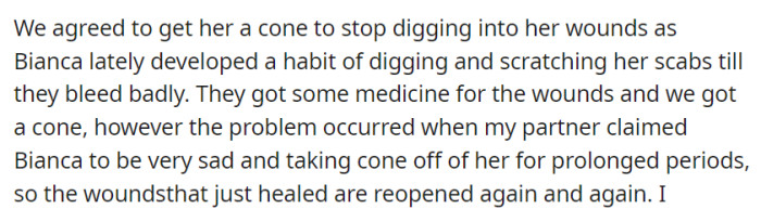 To address Bianca's wound-digging, they got her a cone so she would stop picking at her wounds. However, OP's partner claims that the dog is miserable because of it, so they take it off for prolonged periods.