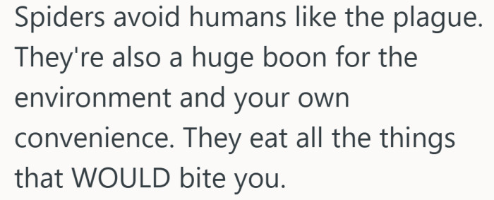 The spider is being pitched as a roommate with benefits.