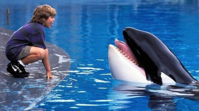 'Free Willy'
