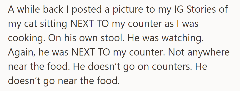 OP posted an IG Story of their cat on a stool next to the counter, away from the food.