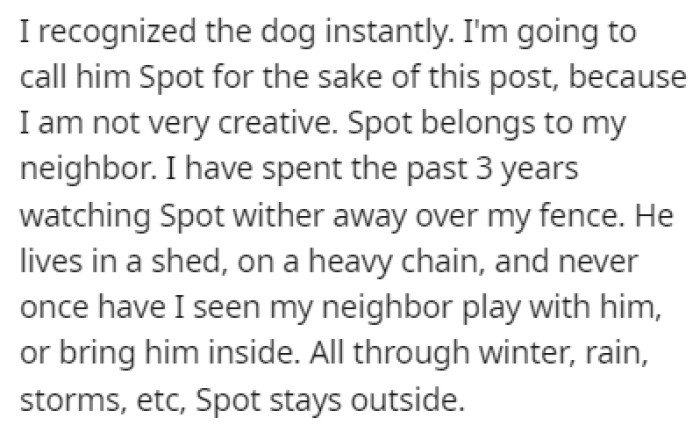 OP immediately recognized the dog who belonged to her neighbor