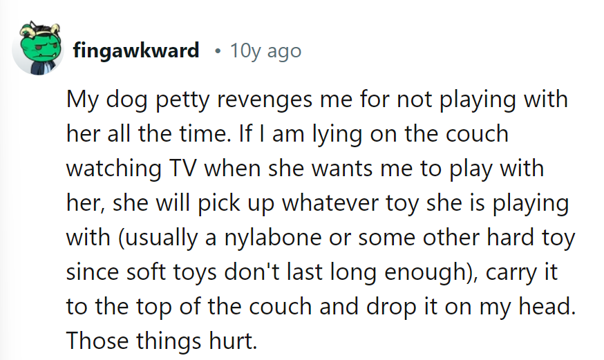Her dog's got a bone to pick with her TV time—literally, by dropping toys on her head for not playing!