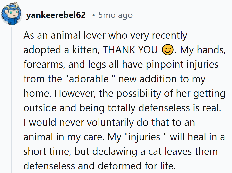 Declawing? That's just scratching the surface of cruelty.