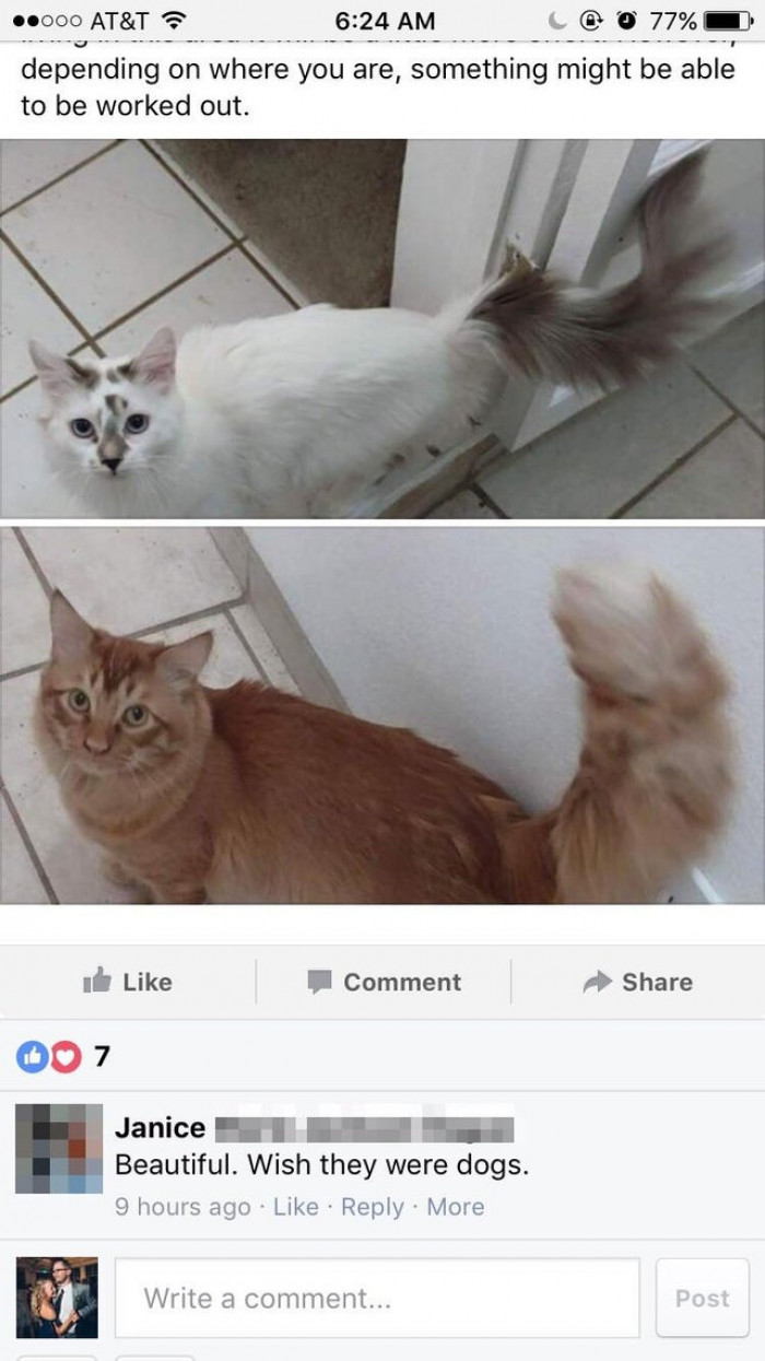 18. Janice would like to help but cannot