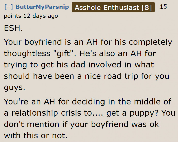 The boyfriend is wrong for being thoughtless. But some Redditors have yet to know that the boyfriend is aware that the original poster (OP) has a dog.