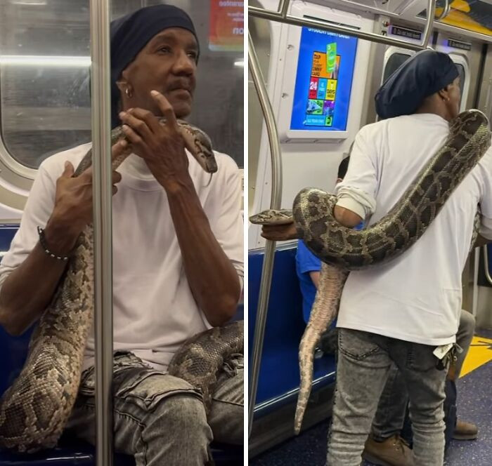 "I Really Hate This. Keep Your Pet At Home"