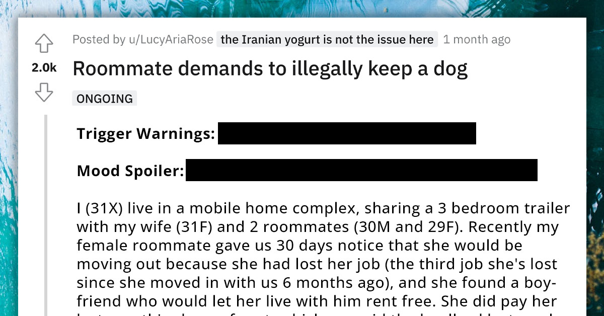 Redditor's Roommate Demands To Keep A Dog Illegally, But They Find Out She Had Committed A Crime And Uses It Against Her