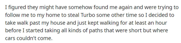 Suspicious of being followed, OP took a long walk to shake off any potential pursuers and ventured onto car-inaccessible paths to protect Turbo and their home.
