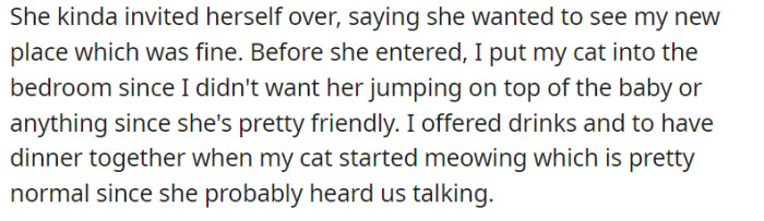 As they welcomed the cousin into their new place, OP took the precaution of placing their friendly cat in the bedroom to avoid any unexpected feline acrobatics around the baby. The evening progressed with drinks and dinner on the table, until the familiar meowing from the bedroom reminded them of their feline companion's desire to join the gathering.