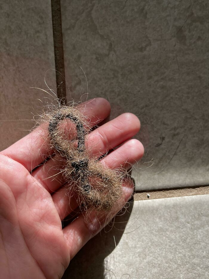 "My Husband's Hair Tie"