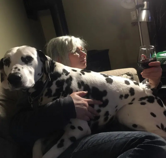 6. Chill time is incomplete without dog time