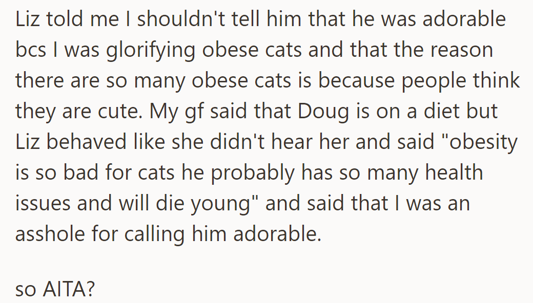 Liz criticized OP for calling his girlfriend's overweight cat adorable, despite it being on a diet, leaving him unsure if he was wrong.