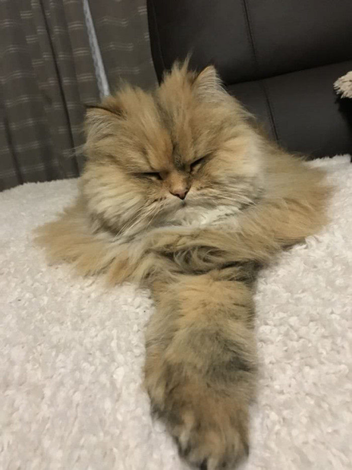 4. That Grumpy-looking face