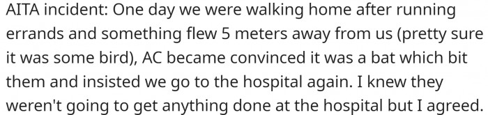 Then, another incident occurred. This time it involved a bird. However, the cousin thought it was a bat and that it had scratched them while flying by.