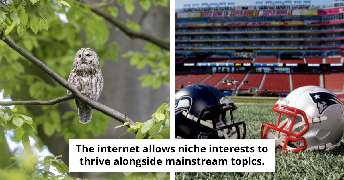 The Super Bowl takes on a new significance on social media, making it ideal for those who may not be fans of the NFL.