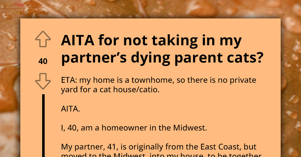 Woman In Her 40s Regrets Accepting Partner's Cats, Wants Them Gone