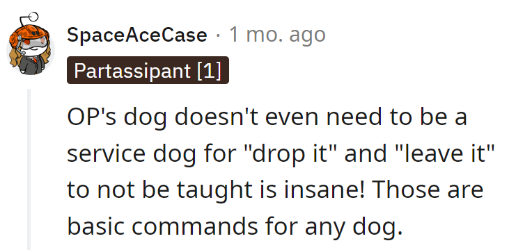 Dixie's dropping the ball on basic obedience—literally!