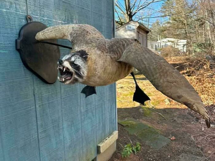 "This Taxidermy Combination"