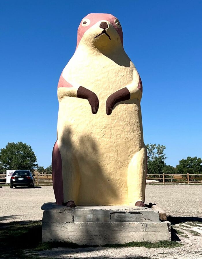 "This Giant Is Outside “The Badlands National Park” In South Dakota. It Is Surrounded By Real Prairie Dogs"
