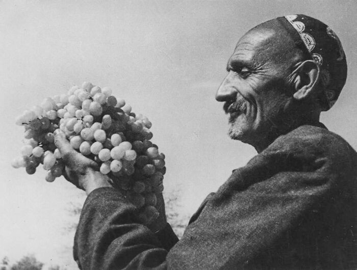 "The Uzbek Republic’s Leading And Most Decorated Winegrower, Rizamat Musamukhamedov, Bred A New Grape Variety (Bayan Shirey), 1939"