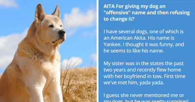 Man Was Asked To Rename His Dog Because, Apparently, Yankee Is A Slur Against Americans