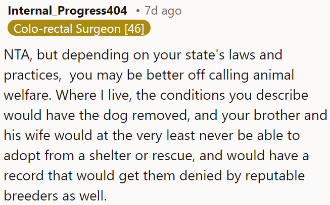 These conditions might lead to the dog being taken away, which could seriously impact his brother's chances of future adoptions and breeder approvals.