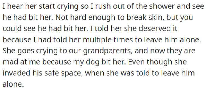 OP's chihuahua bit her cousin when the cousin entered the dog's space and didn't respect boundaries, leading to blame placed on OP for the dog's reaction.