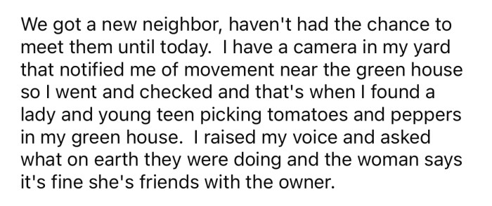 When the OP saw someone near the greenhouse on his security cameras, he went to investigate and discovered a woman helping herself to some vegetables.
