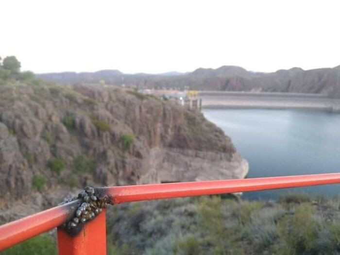 49. I won't be comfortable here