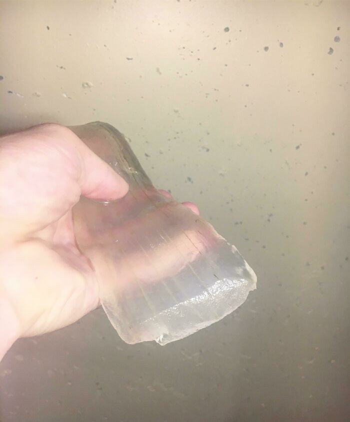 "This 2-Pound Peeled Aloe Vera Leaf"