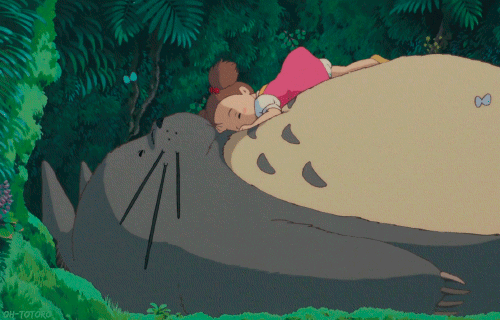 22. Naps with Totoro