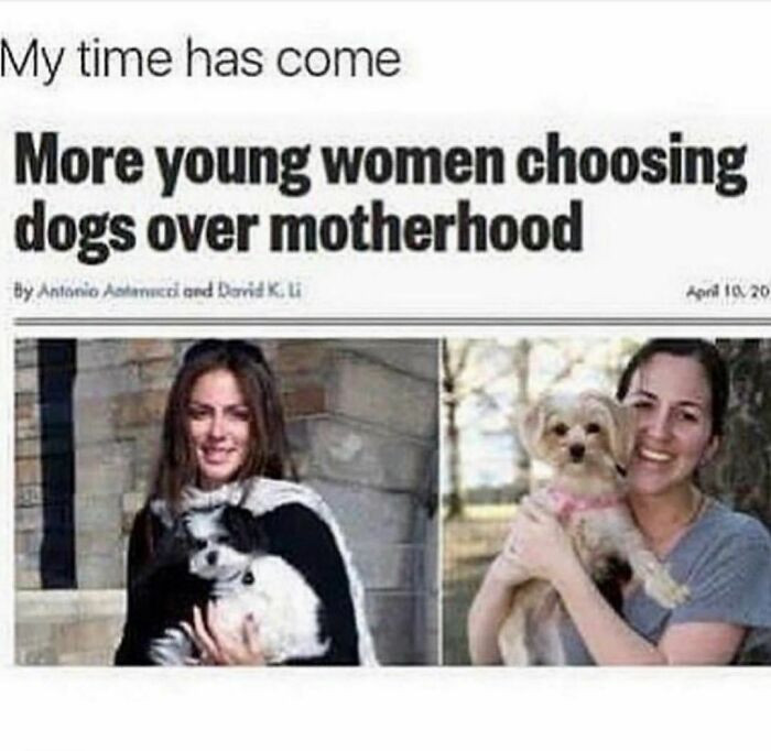 12. Choosing dogs over motherhood