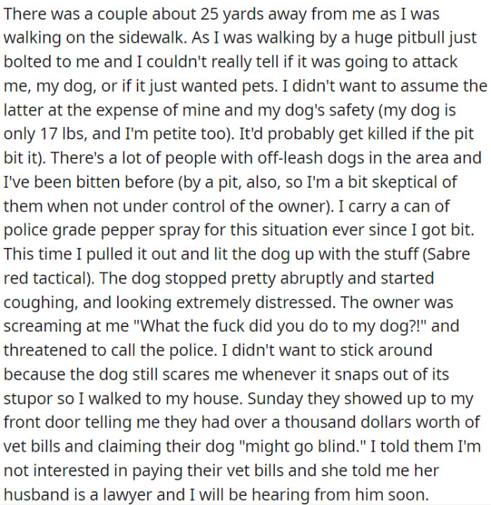 During a Walk, a Pit Bull Approached OP, and Out of Fear, OP Used Pepper Spray to Deter It. The Owner Became Upset and Later Claimed Vet Bills, Threatening Legal Action.