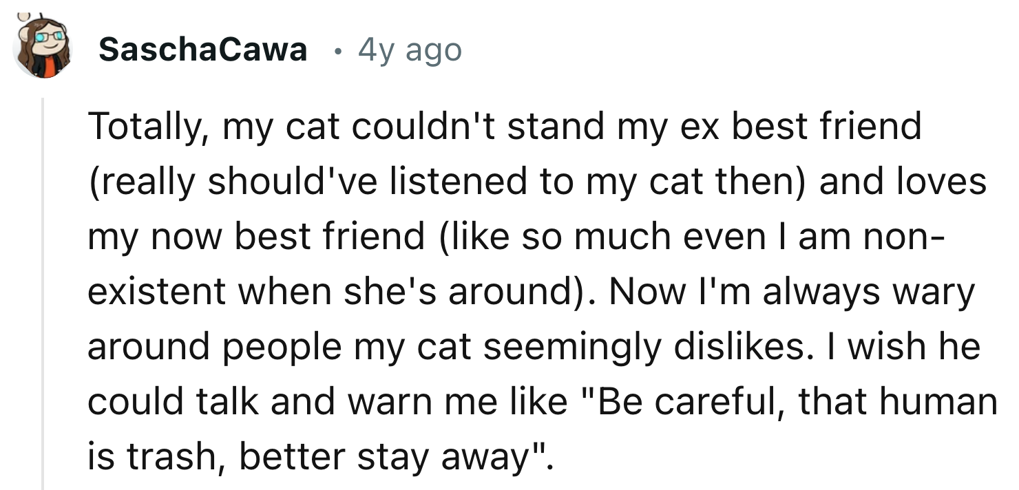 The Cat Could Not Stand His Best Friend