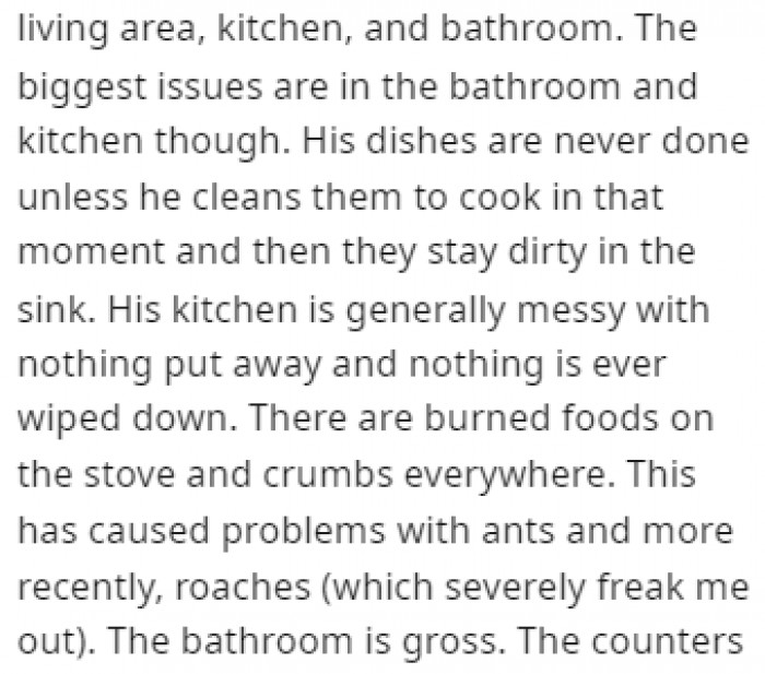 The kitchen and bathroom are the dirtiest areas of the house, with dishes in the sink almost all the time
