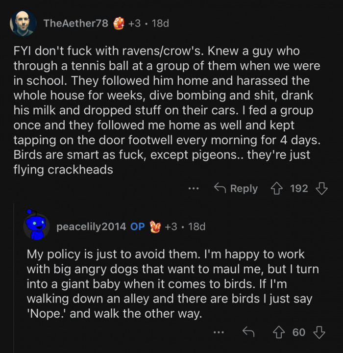 Birds are really smart and can be pretty creepy.