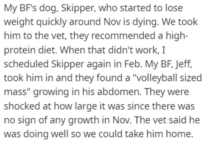 OP's boyfriend has a dog, Skipper, and he's been in terrible shape lately
