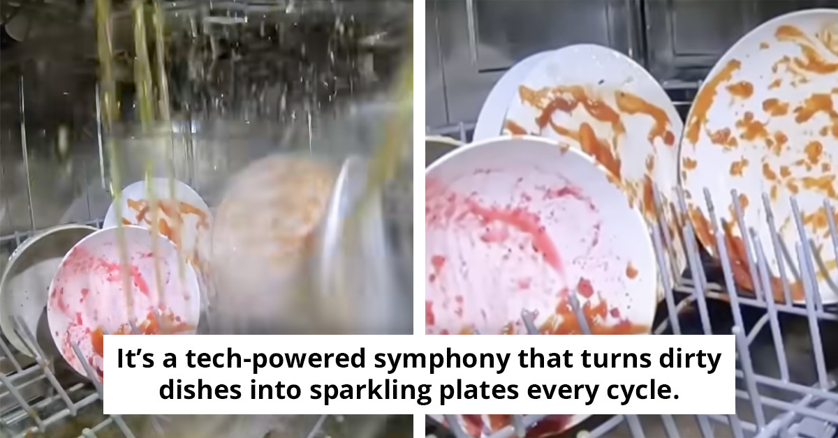 Shocking Discovery: Camera Placed Inside Dishwasher Reveals Startling Truth, Leaving Viewers Astonished