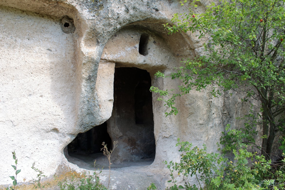 “When an uncommon marker appears in distant, disconnected regions, it signals a shared connection in the deep past.”